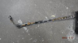 180117 79 Pontiac Trans Am  (14).JPG